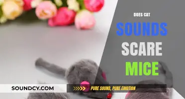 Do Cat Sounds Scare Mice? Uncovering the Truth Behind the Myth