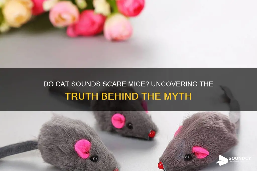 does cat sounds scare mice