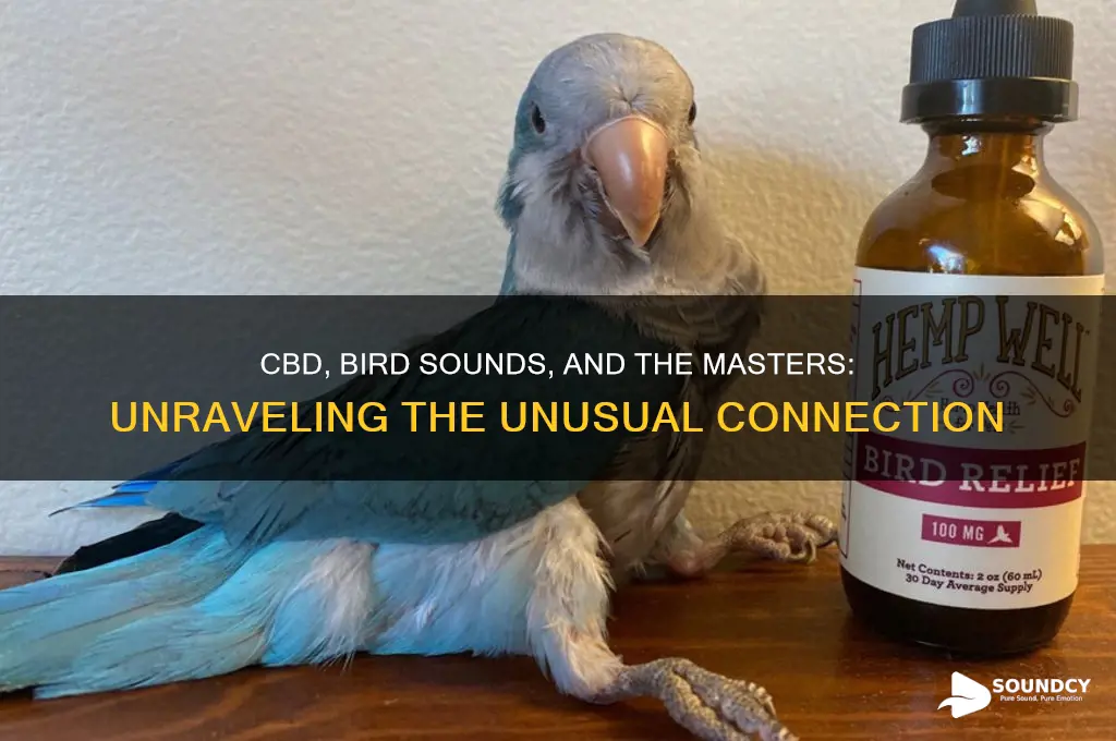 does cbd pipe in bird sounds at the masters