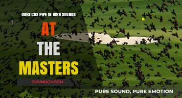 Does CBS Enhance Masters Broadcast with Piped-In Bird Sounds?