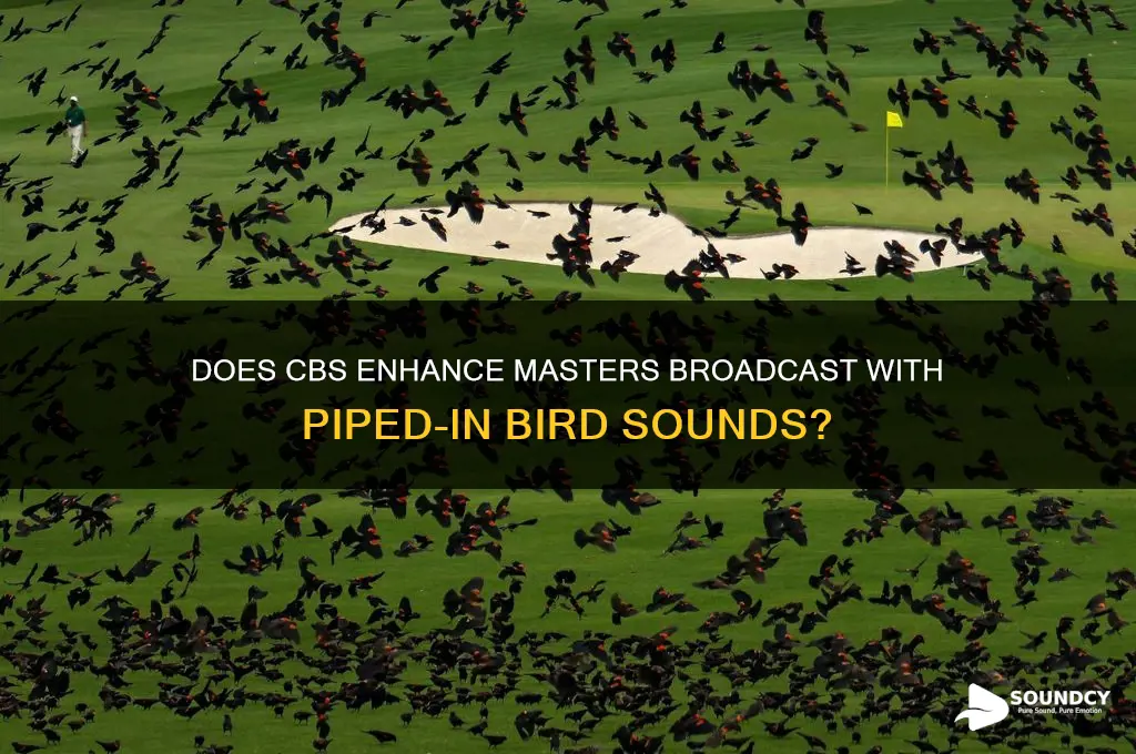 does cbs pipe in bird sounds at the masters