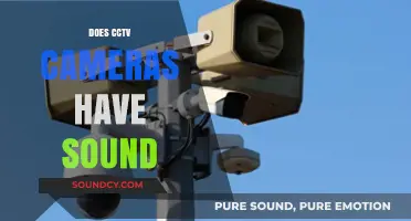 Do CCTV Cameras Capture Audio? Unveiling Surveillance Sound Capabilities