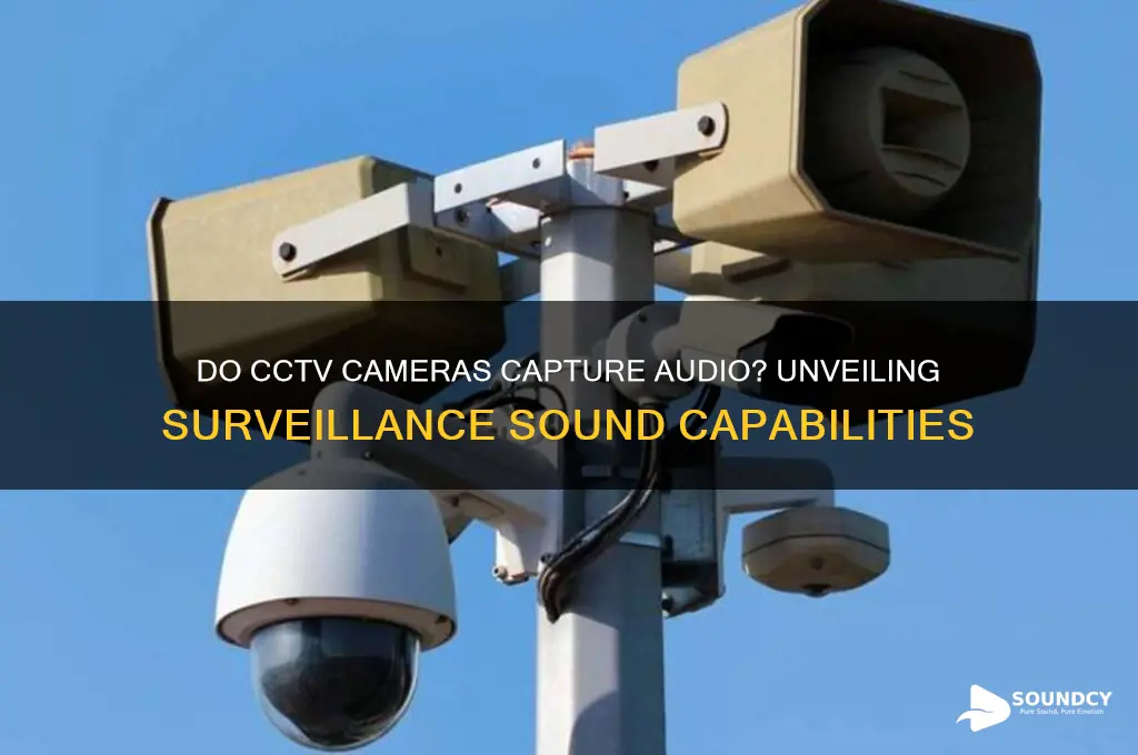 does cctv cameras have sound