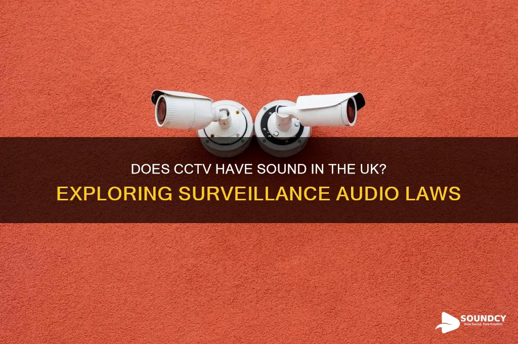 does cctv have sound uk