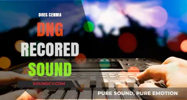 Does Cinema DNG Record Sound? Unraveling the Myth and Facts