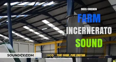 Does Chicken Farm Incinerator Sound Affect Livestock and Environment?