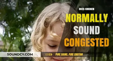 Do Chickens Sound Congested? Understanding Normal Clucks and Noises