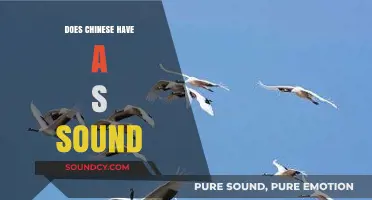 How the 'S' Sound is Used in Chinese