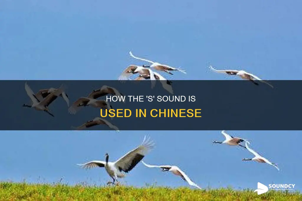 does chinese have a s sound