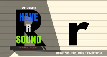 Does Chinese Have an R Sound? Exploring Pronunciation Myths and Facts