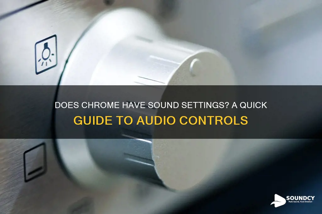 does chrome have sound settings