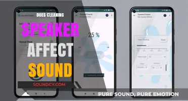 Does Cleaning Your Speakers Enhance Sound Quality? Expert Insights Revealed