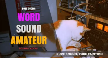 Does 'Coding Word' Sound Amateur? Debunking Myths in Tech Jargon