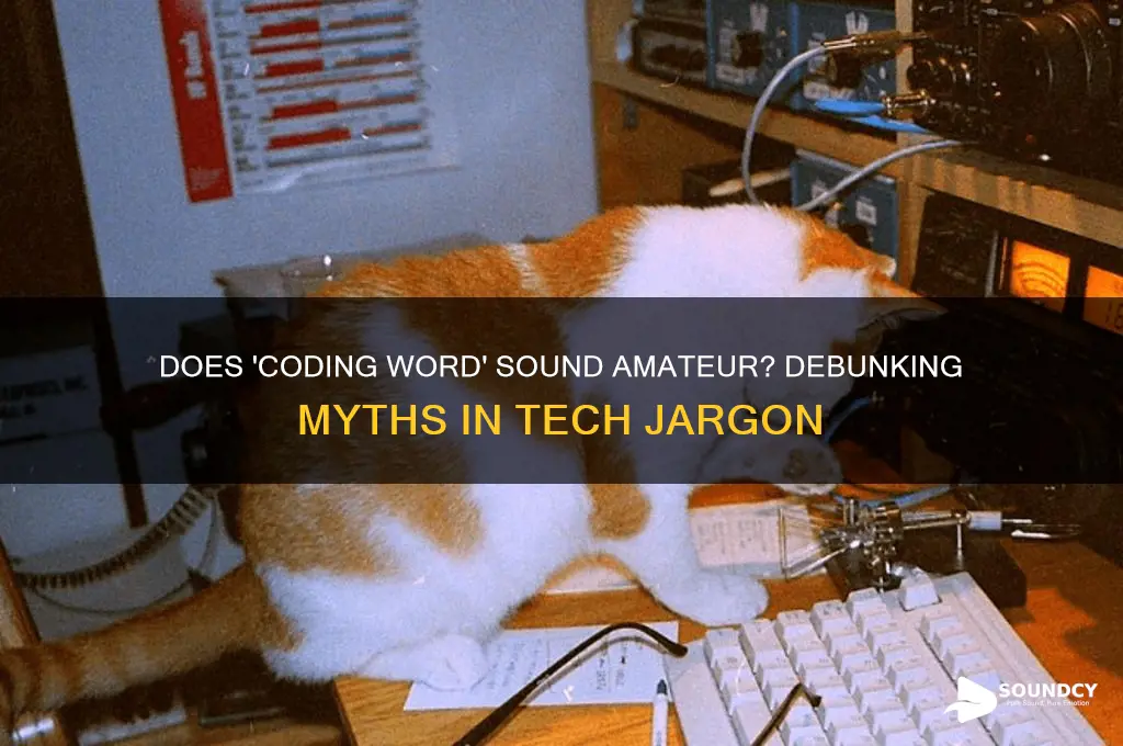 does coding word sound amateur