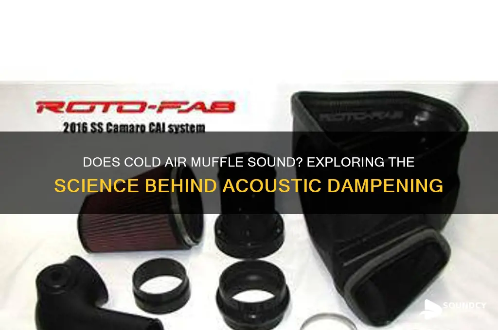 does cold air muffle sound