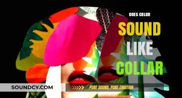 Does Color Sound Like Collar? Exploring Synesthesia's Blurred Sensory Lines