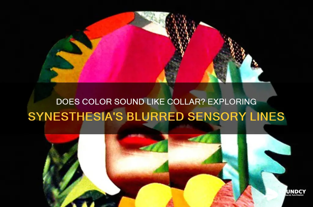 does color sound like collar