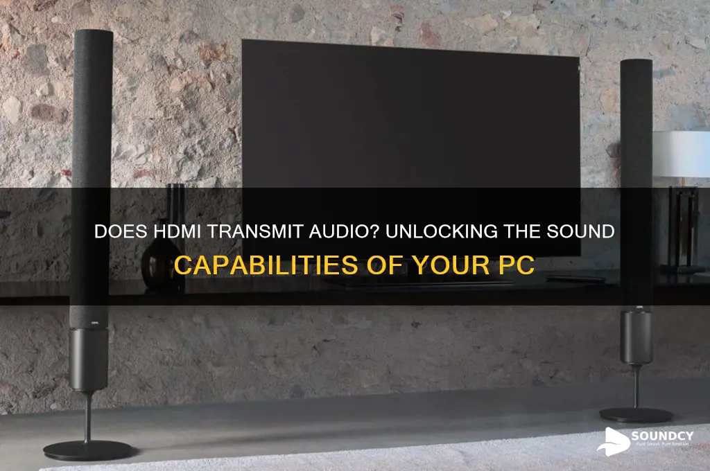 does computer hdmi carry sound