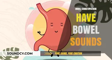 Does Constipation Affect Bowel Sounds? Understanding the Connection and Symptoms