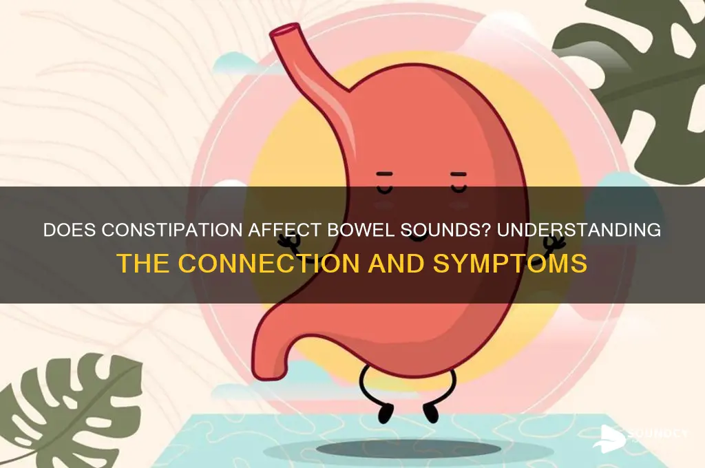 does constipation have bowel sounds