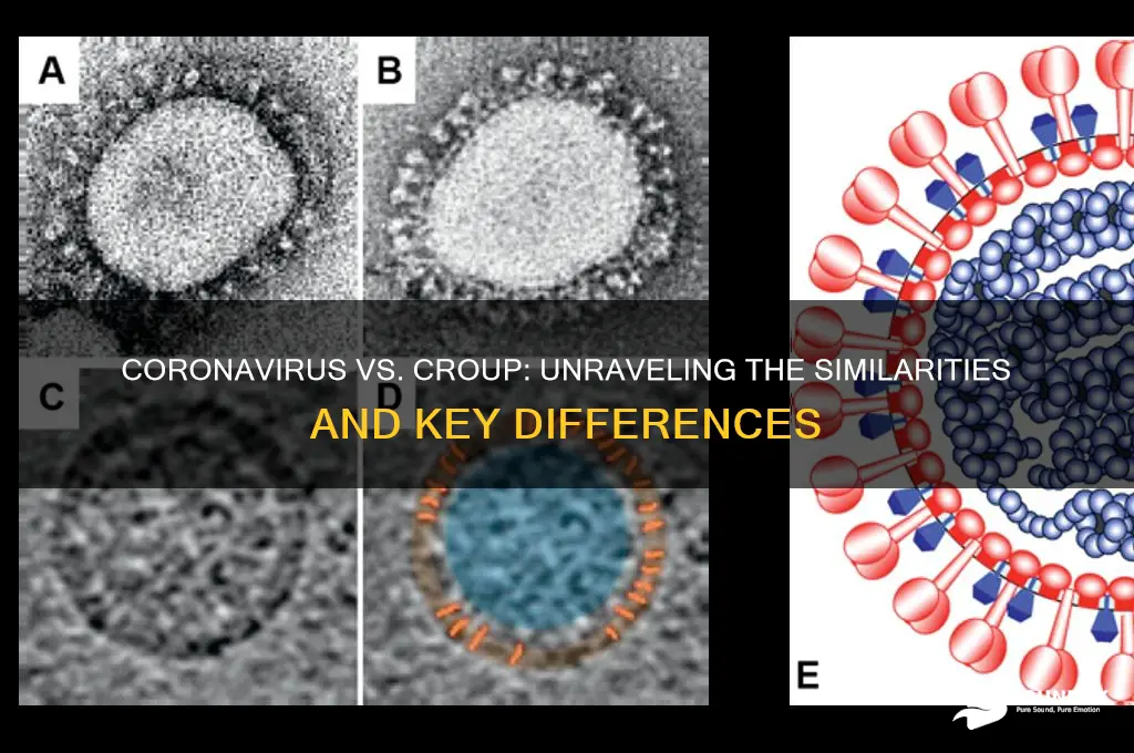 does coronavirus sound like croup
