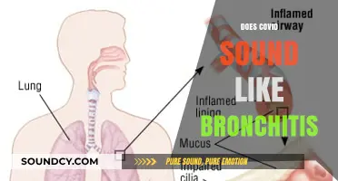 COVID vs. Bronchitis: Unraveling the Similarities in Symptoms and Sounds