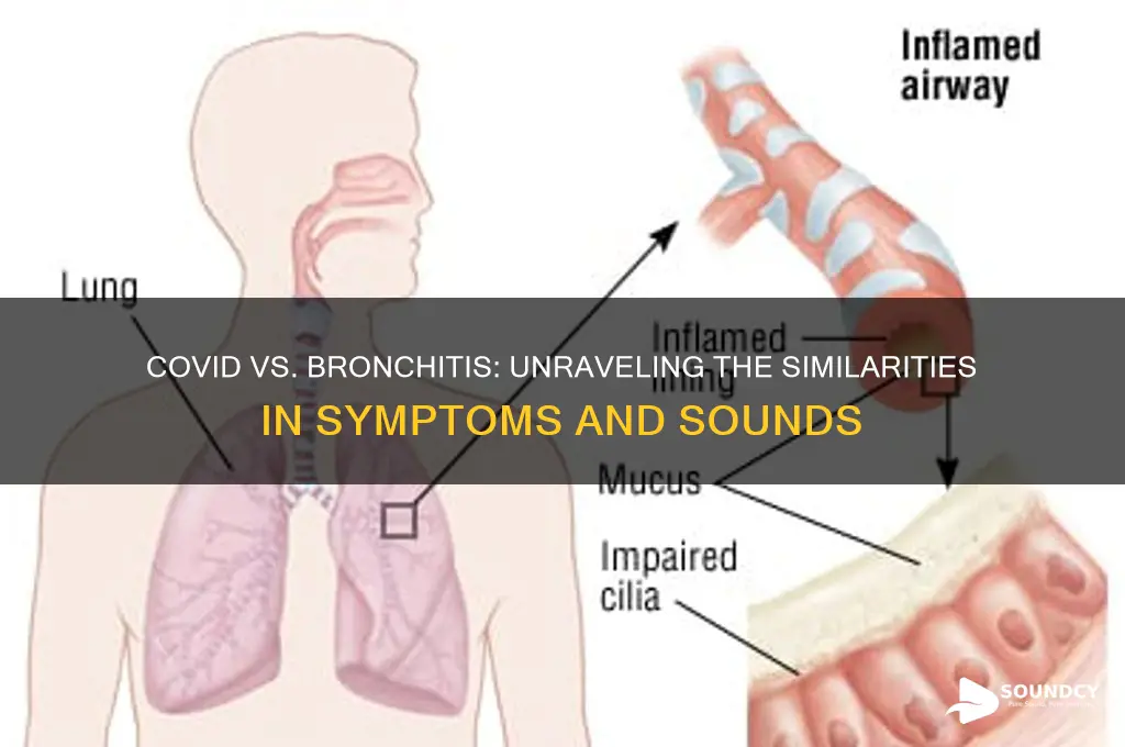 does covid sound like bronchitis