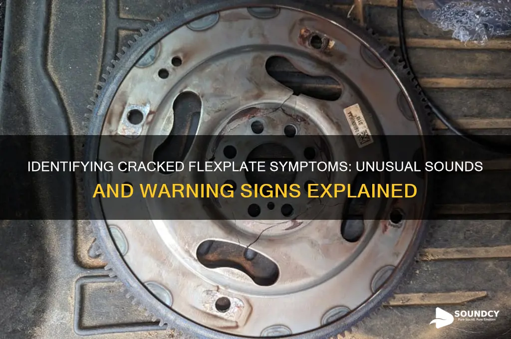 does cracked flexplate sound like