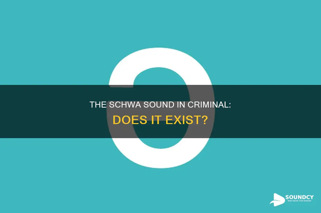 does criminal have the schwa sound