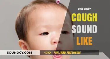 Understanding the Distinct Sound of a Croup Cough: What to Listen For