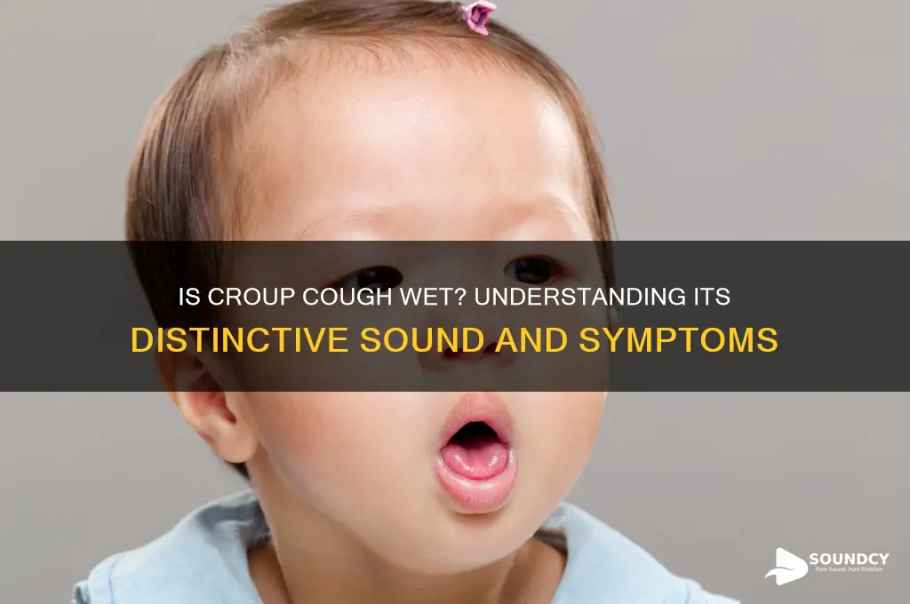 does croup cough sound wet