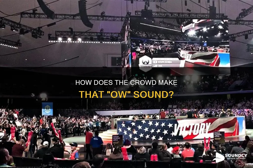does crowd have the ow sound