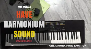 Exploring CTK-2400: Does It Feature a Realistic Harmonium Sound?
