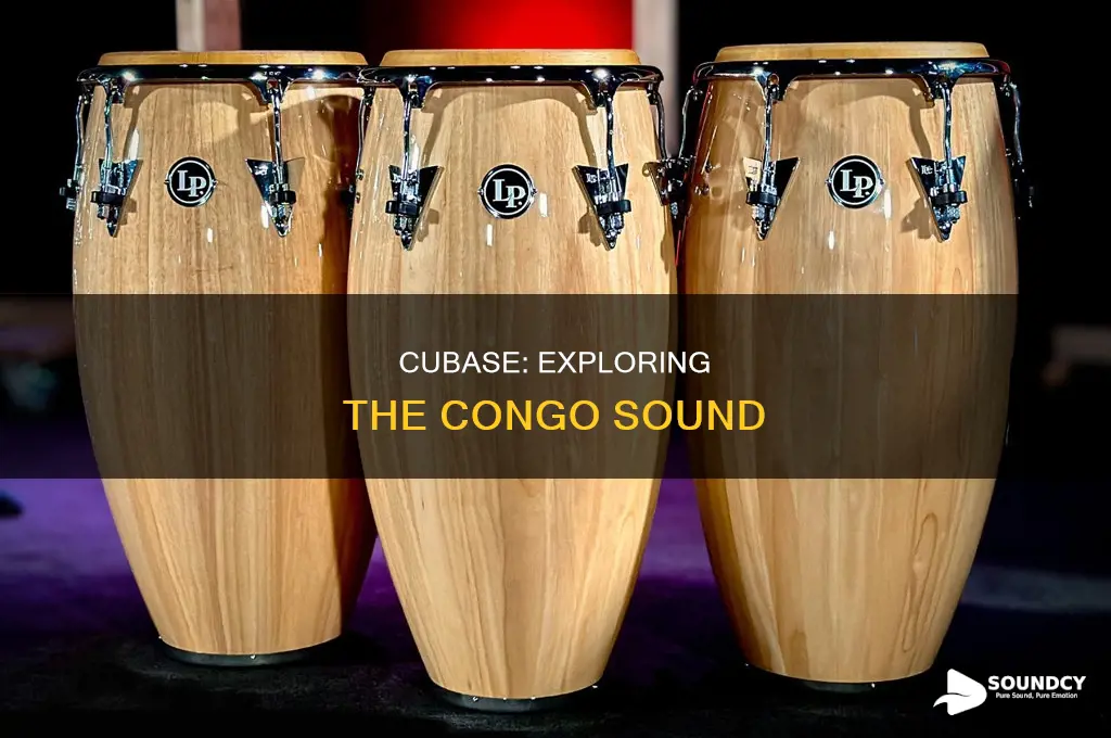 does cubase have a congo sound