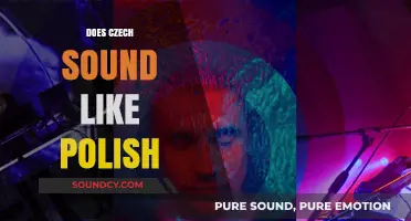 Czech vs. Polish: Unraveling the Linguistic Similarities and Differences in Sound