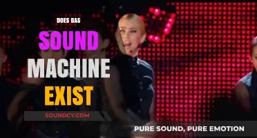 Does Das Sound Machine Exist? Unraveling the Mystery Behind the Name