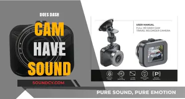 Does Your Dash Cam Record Audio? Exploring Sound Features and Privacy