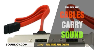 Data Port Cables: Do They Carry Sound?