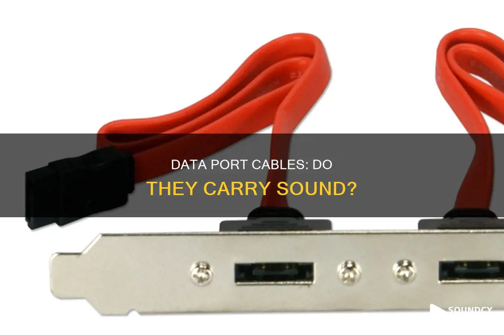 does data port cables carry sound
