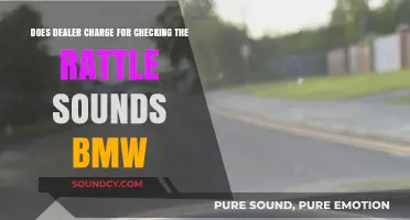 BMW Rattle Sounds: Dealer Inspection Costs Explained