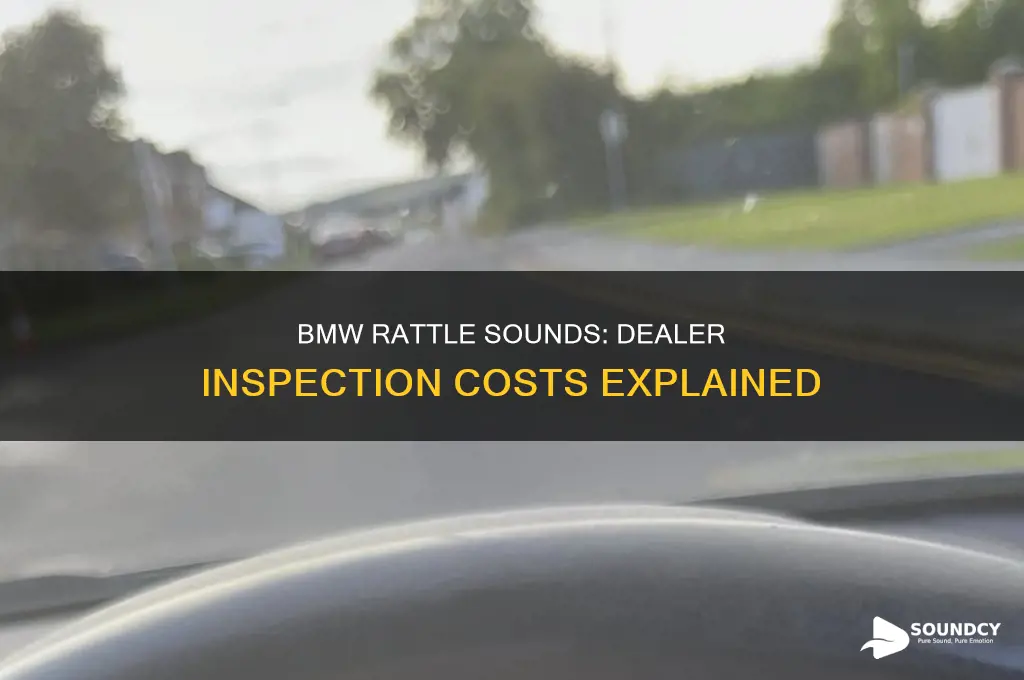does dealer charge for checking the rattle sounds bmw