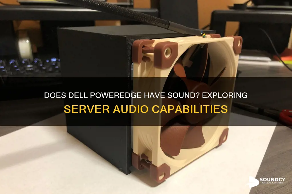 does dell poweredge have sound