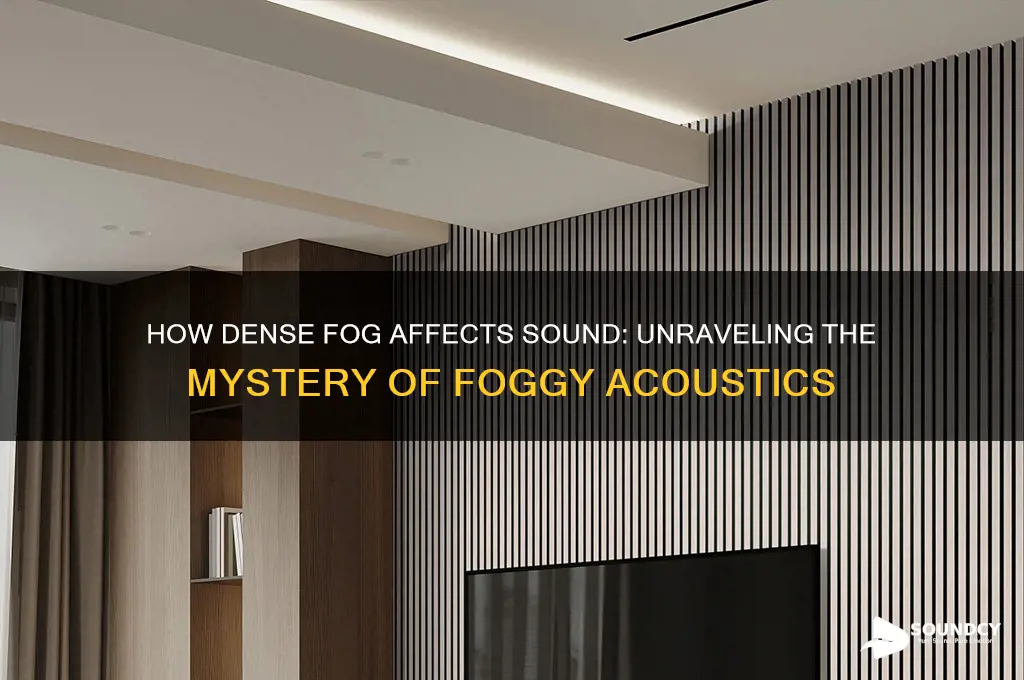 does dense fog make sound