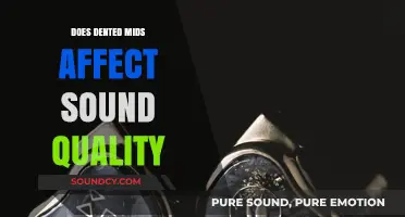 Dented Mids: Impacting Audio Quality or Just a Cosmetic Concern?