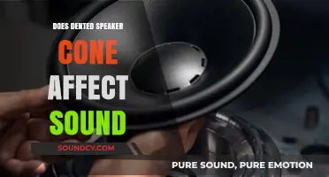 Dented Speaker Cone: Impact on Sound Quality