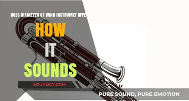 How Wind Instrument Diameter Shapes Sound Quality and Tone