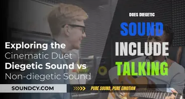 Does Diegetic Sound Include Talking? Exploring Cinematic Audio Realities