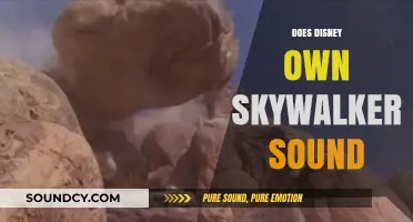 Does Disney Own Skywalker Sound? Unraveling the Media Giant's Acquisitions