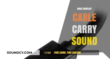 Does Display Cable Carry Sound? Unraveling Audio-Visual Connectivity Myths