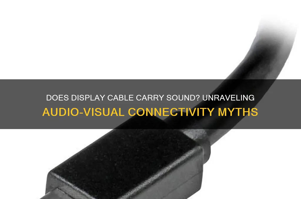 does display cable carry sound